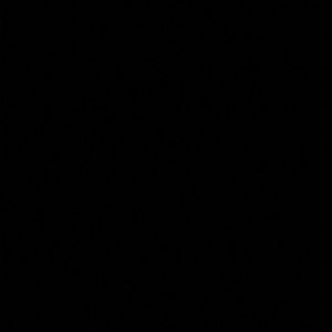 Meet your Posher, Daisy